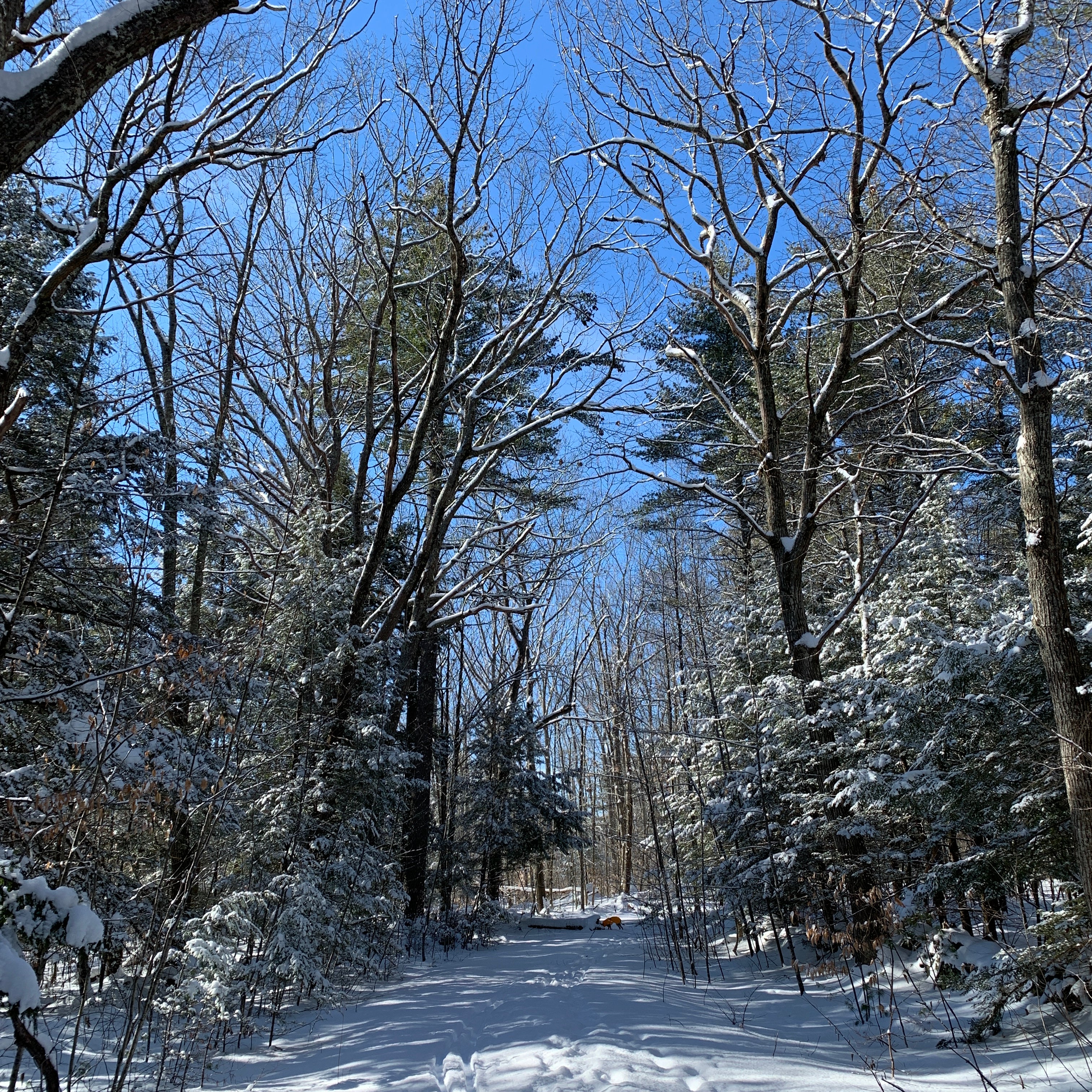 6 ways to wake up your body