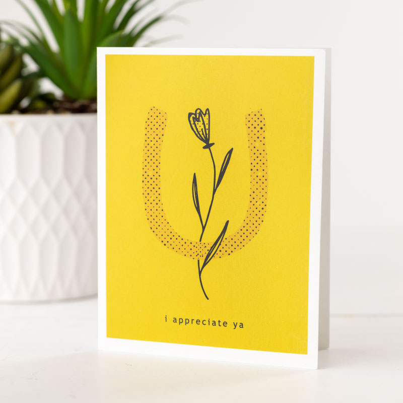 boxed set of horseshoe greeting cards