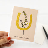 boxed set of 6 horseshoe greeting cards