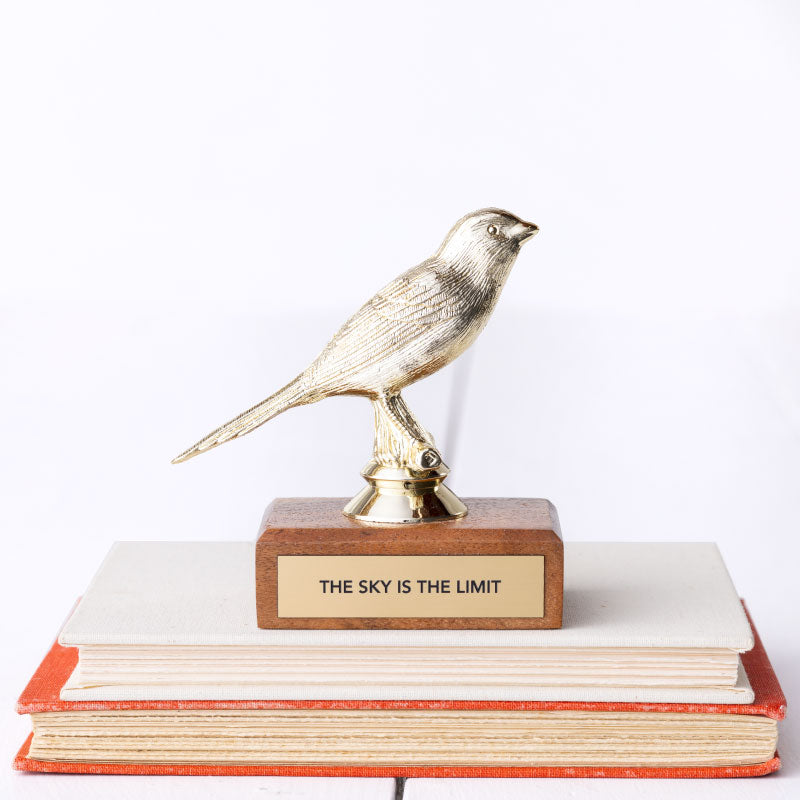 THE SKY IS THE LIMIT trophy