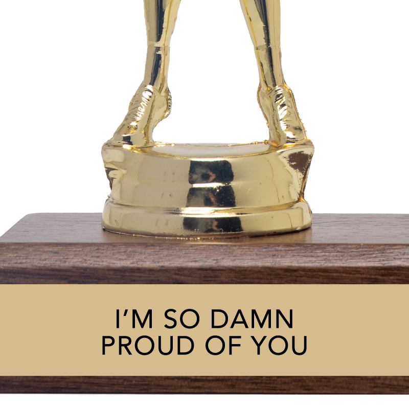 I'M SO DAMN PROUD OF YOU trophy