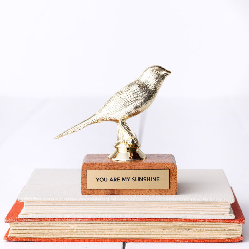 YOU ARE MY SUNSHINE trophy