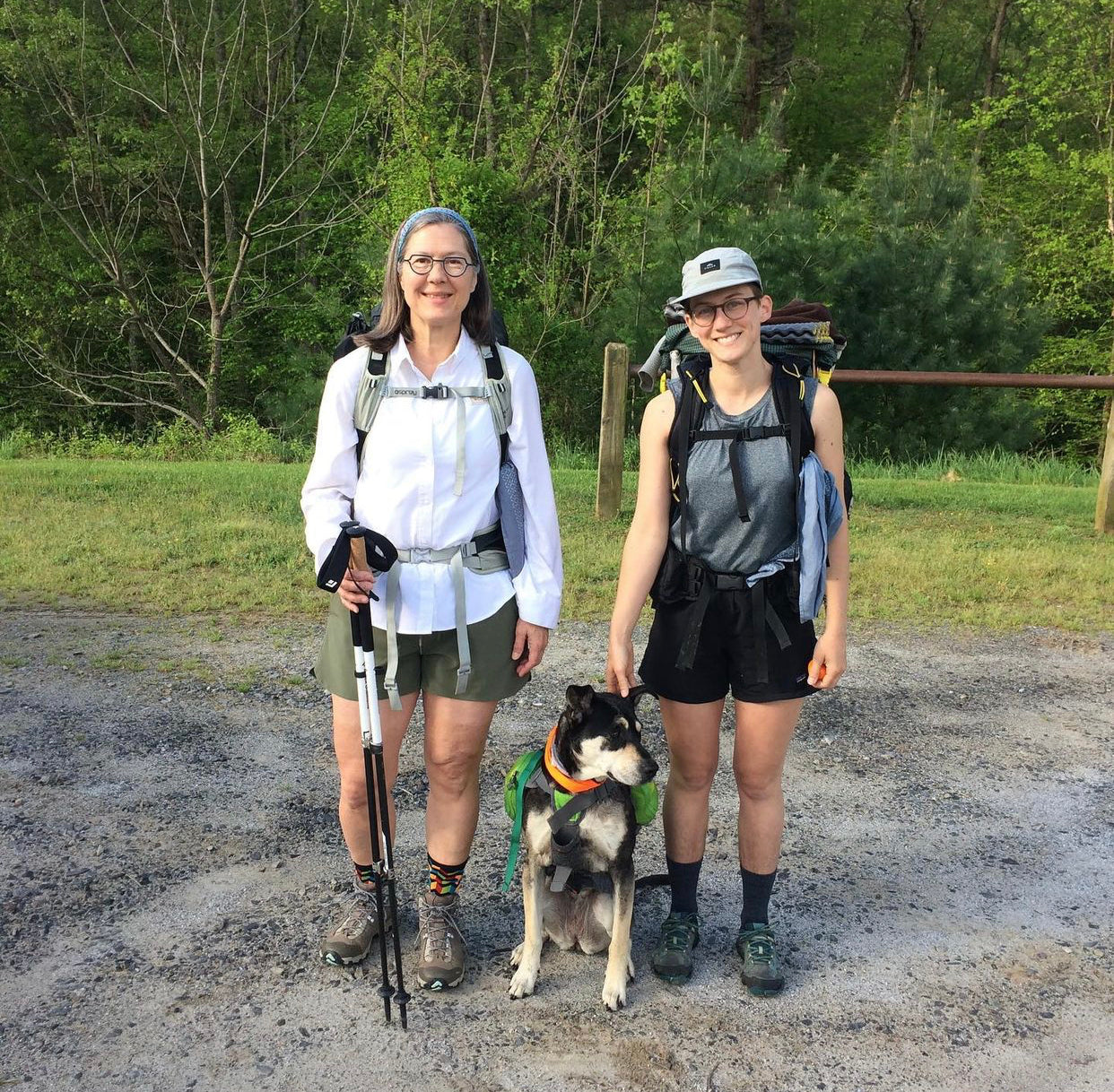 my mother's wild heart