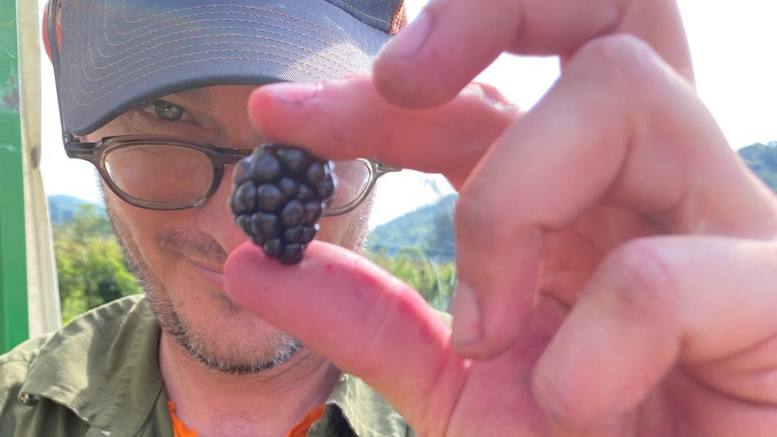 a fruitful transition