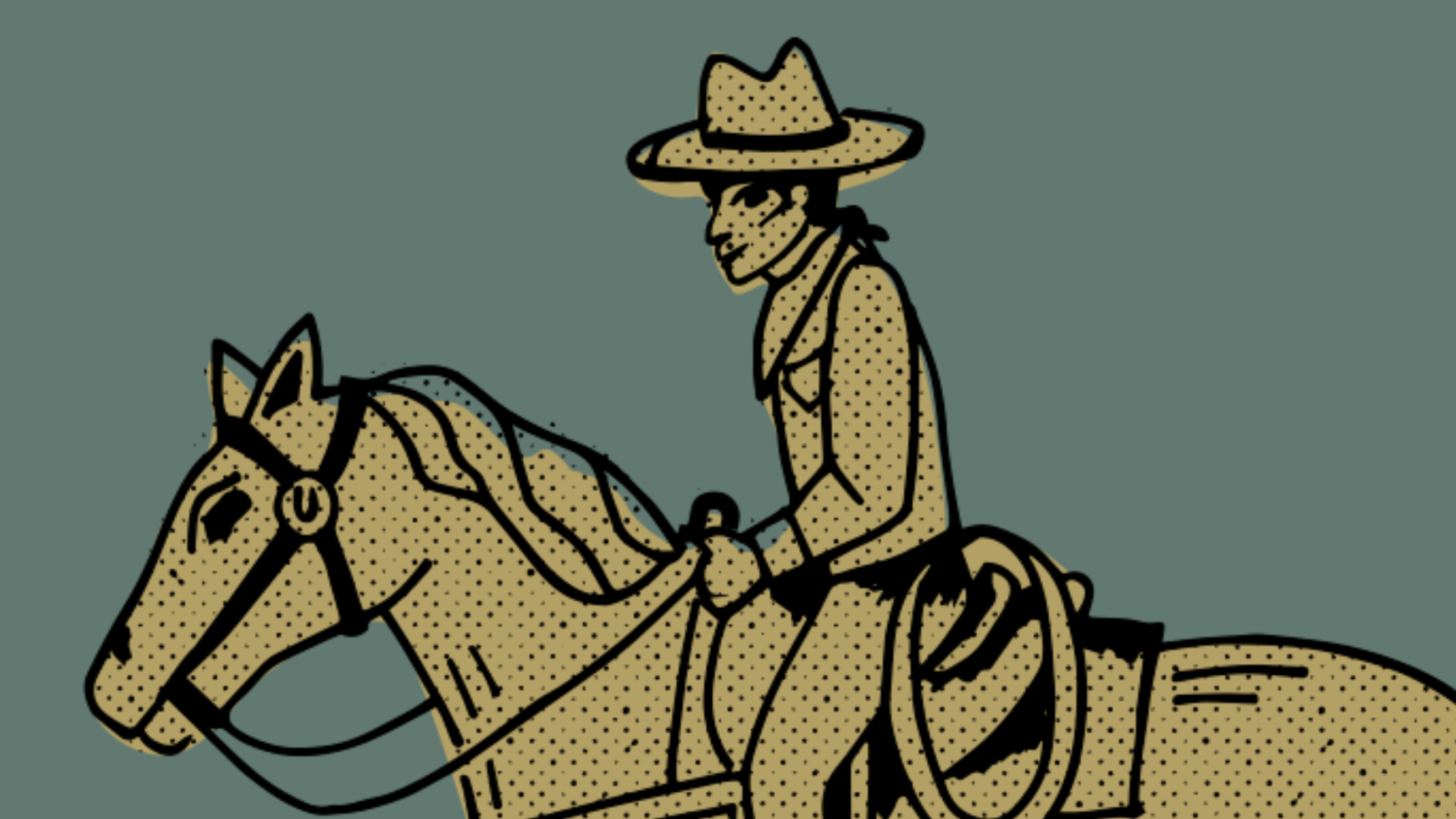 this ain't my first rodeo