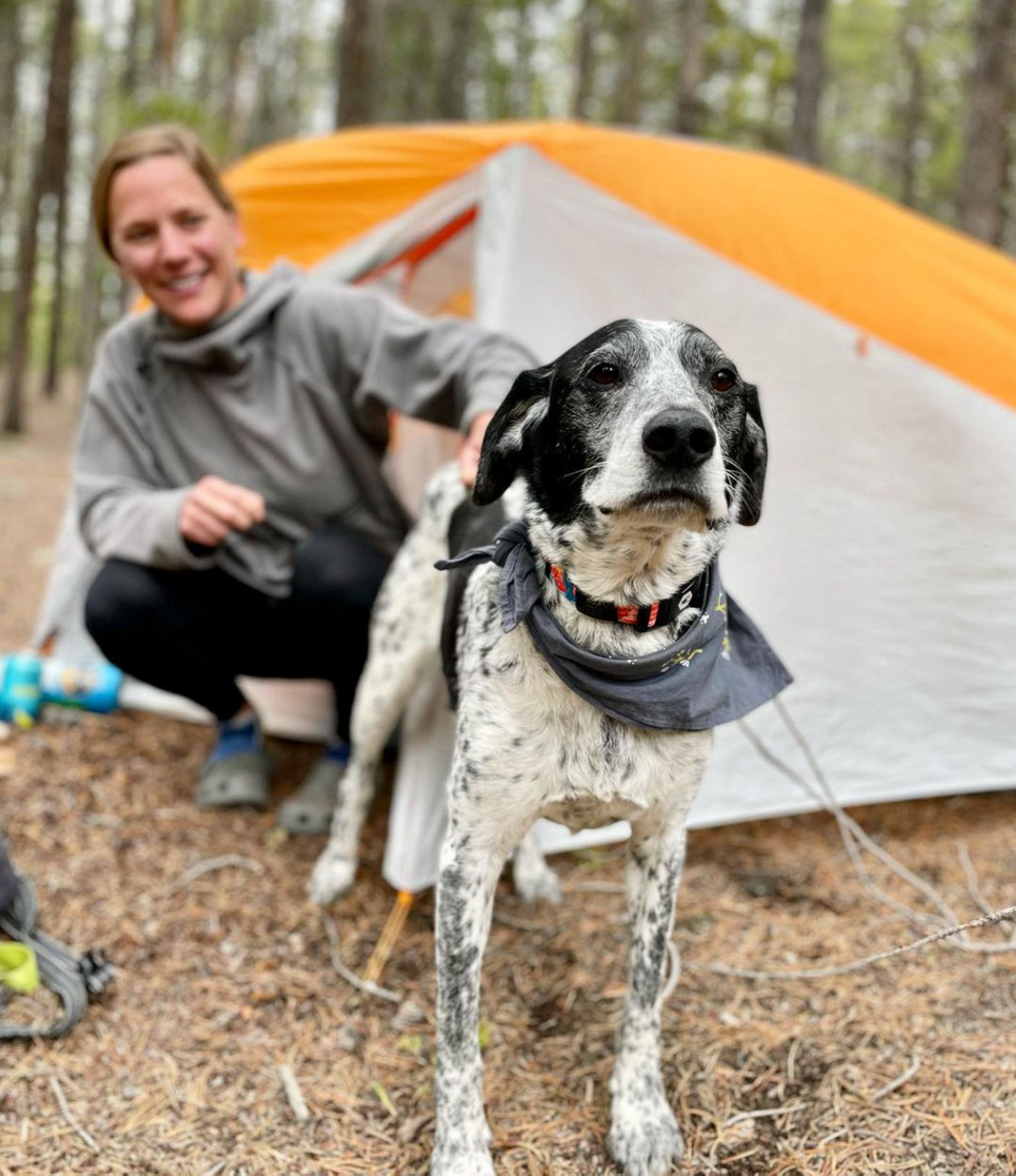 spotted hound dog wearing a jenni earle bandana from the explorer collection with his owner in front of a tent in the woods