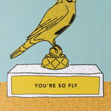 you're so fly greeting card