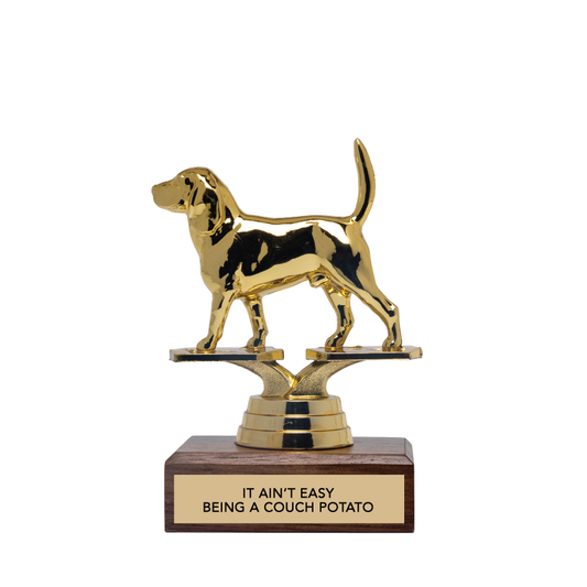 IT AIN'T EASY BEING A COUCH POTATO trophy