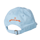 AIN'T GOING DOWN hat