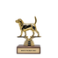 Gold dog trophy with wooden base and 'WHO'S THE BEST GIRL?' text on a white background