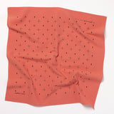 'explore more' heritage bandana