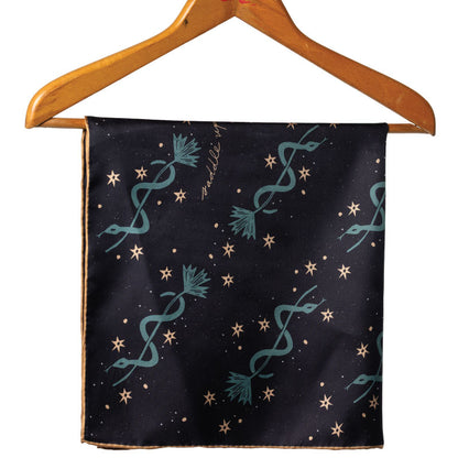 'lasso the stars' silk scarf