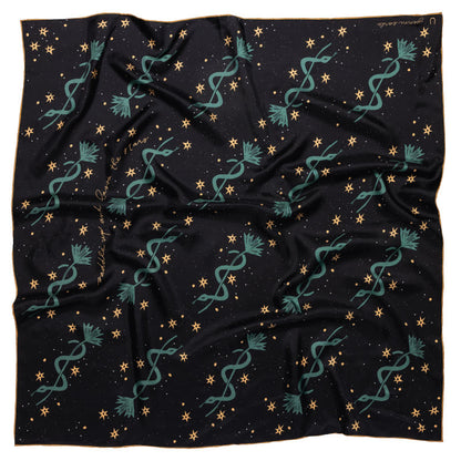 'lasso the stars' silk scarf