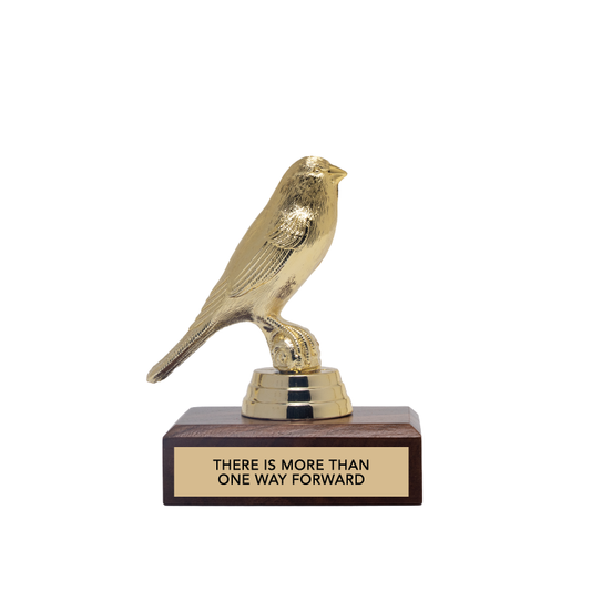 THERE'S MORE THAN ONE WAY FORWARD trophy