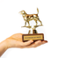 Gold trophy with a dog design and wooden base with text, held in a hand against a white background