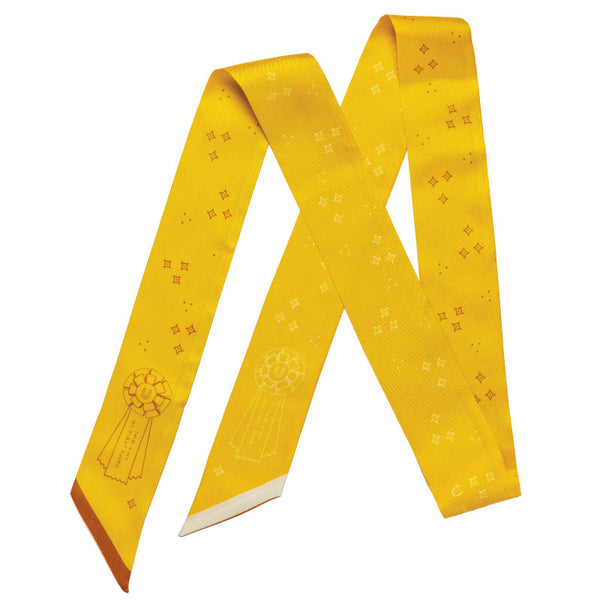 this ain't my first rodeo' twilly scarf – Jenni Earle