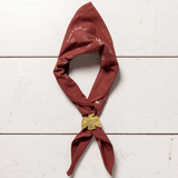 'blaze a trail' heritage bandana