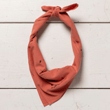 'explore more' heritage bandana