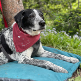 'blaze a trail' heritage bandana